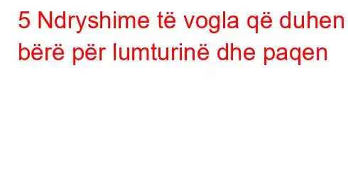 5 Ndryshime të vogla që duhen bërë për lumturinë dhe paqen