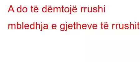 A do të dëmtojë rrushi mbledhja e gjetheve të rrushit?