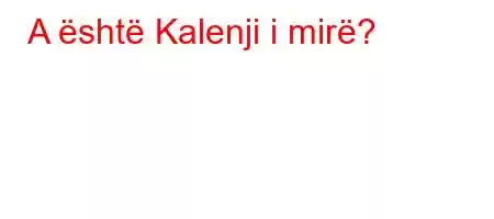 A është Kalenji i mirë?