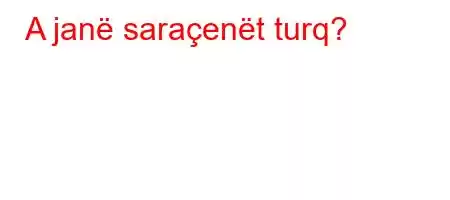 A janë saraçenët turq?