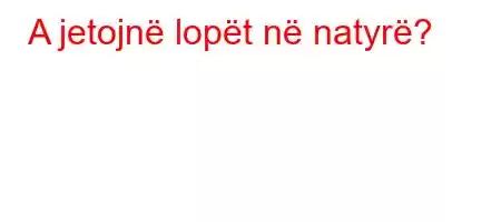 A jetojnë lopët në natyrë