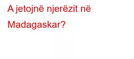 A jetojnë njerëzit në Madagaskar