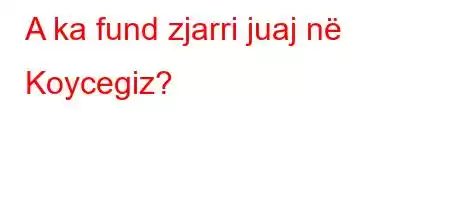 A ka fund zjarri juaj në Koycegiz?