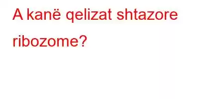 A kanë qelizat shtazore ribozome?