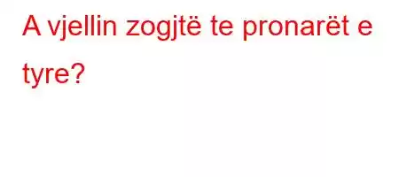 A vjellin zogjtë te pronarët e tyre?