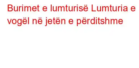 Burimet e lumturisë Lumturia e vogël në jetën e përditshme