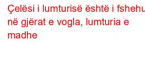 Çelësi i lumturisë është i fshehur në gjërat e vogla, lumturia e madhe