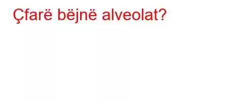 Çfarë bëjnë alveolat?