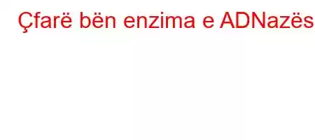 Çfarë bën enzima e ADNazës?