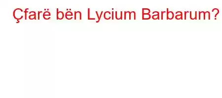 Çfarë bën Lycium Barbarum?