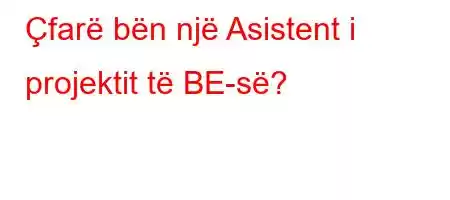 Çfarë bën një Asistent i projektit të BE-së?