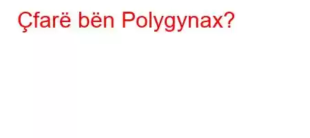 Çfarë bën Polygynax?