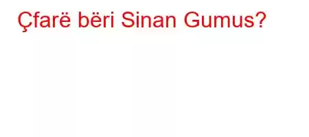 Çfarë bëri Sinan Gumus?