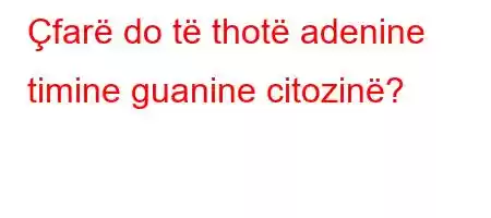 Çfarë do të thotë adenine timine guanine citozinë?