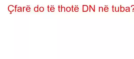 Çfarë do të thotë DN në tuba?