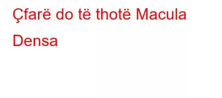 Çfarë do të thotë Macula Densa