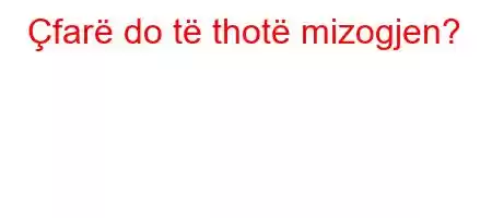 Çfarë do të thotë mizogjen?