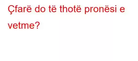 Çfarë do të thotë pronësi e vetme