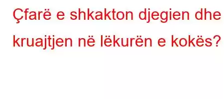 Çfarë e shkakton djegien dhe kruajtjen në lëkurën e kokës?