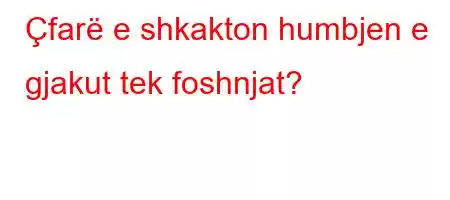 Çfarë e shkakton humbjen e gjakut tek foshnjat?