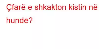 Çfarë e shkakton kistin në hundë?