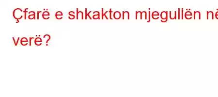 Çfarë e shkakton mjegullën në verë?