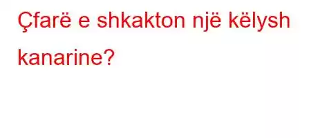 Çfarë e shkakton një këlysh kanarine?