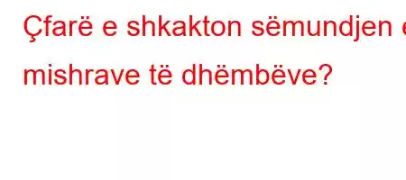 Çfarë e shkakton sëmundjen e mishrave të dhëmbëve?