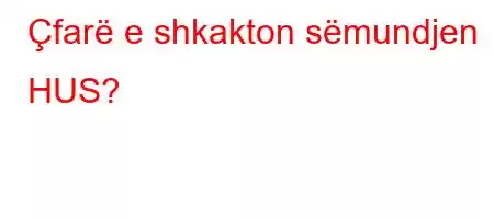 Çfarë e shkakton sëmundjen HUS?