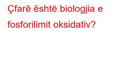 Çfarë është biologjia e fosforilimit oksidativ