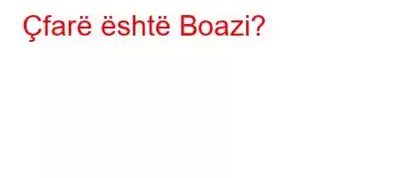 Çfarë është Boazi?