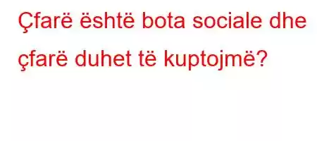 Çfarë është bota sociale dhe çfarë duhet të kuptojmë?