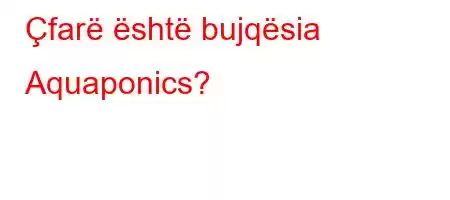 Çfarë është bujqësia Aquaponics?