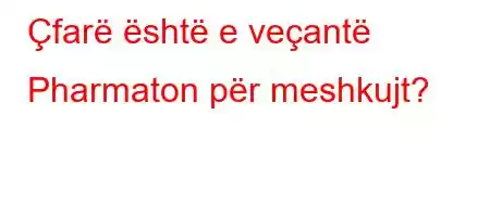 Çfarë është e veçantë Pharmaton për meshkujt?