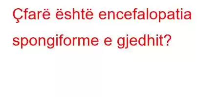 Çfarë është encefalopatia spongiforme e gjedhit?