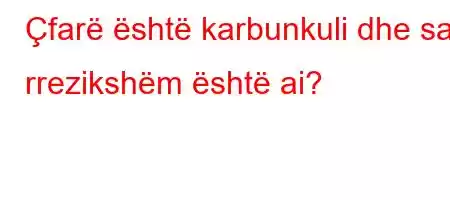 Çfarë është karbunkuli dhe sa i rrezikshëm është ai?