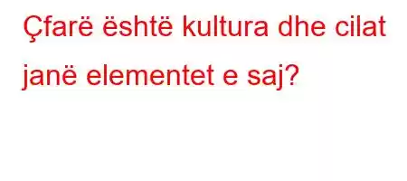 Çfarë është kultura dhe cilat janë elementet e saj?