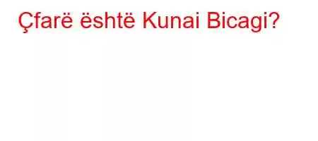 Çfarë është Kunai Bicagi?