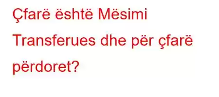 Çfarë është Mësimi Transferues dhe për çfarë përdoret