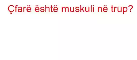 Çfarë është muskuli në trup