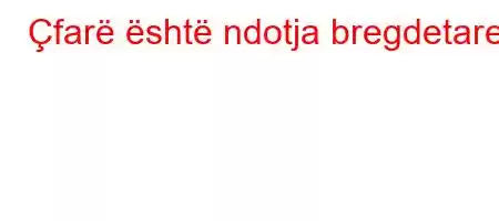 Çfarë është ndotja bregdetare?