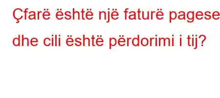 Çfarë është një faturë pagese dhe cili është përdorimi i tij?