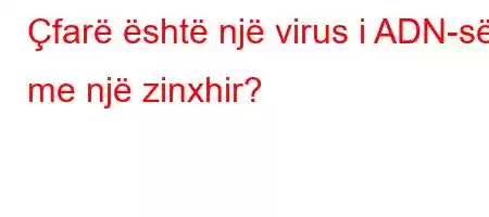 Çfarë është një virus i ADN-së me një zinxhir?