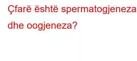 Çfarë është spermatogjeneza dhe oogjeneza?