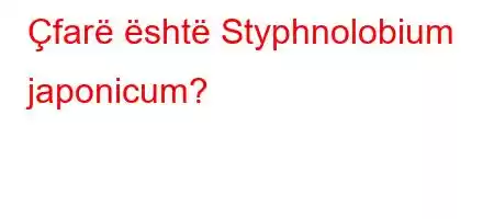 Çfarë është Styphnolobium japonicum?