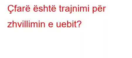 Çfarë është trajnimi për zhvillimin e uebit?