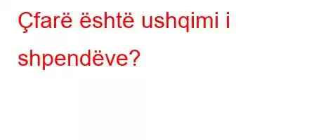 Çfarë është ushqimi i shpendëve?