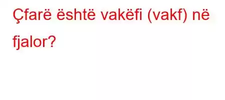 Çfarë është vakëfi (vakf) në fjalor