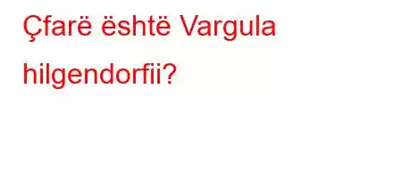 Çfarë është Vargula hilgendorfii?