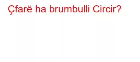 Çfarë ha brumbulli Circir?